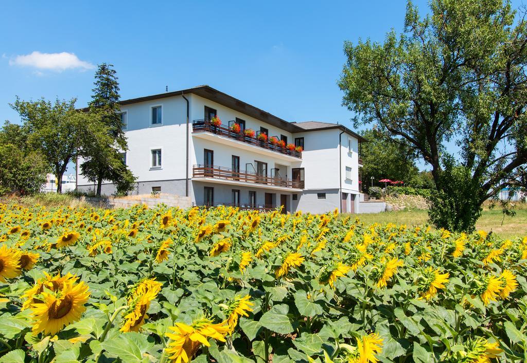 Gasthof-Pension Wein Breitenbrunn  Dış mekan fotoğraf